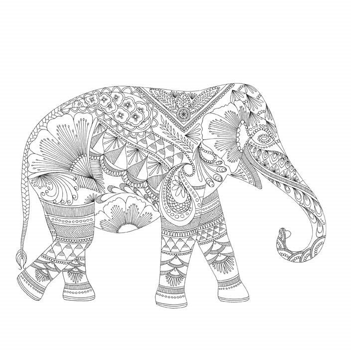 Wildlife Wonders- ilustrace slon